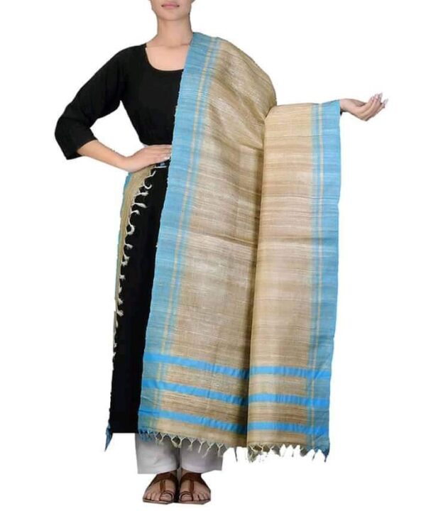 Handwoven Tussar Ghicha Silk Dupatta