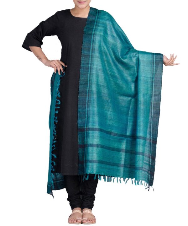 Handwoven Tussar Ghicha Silk Dupatta