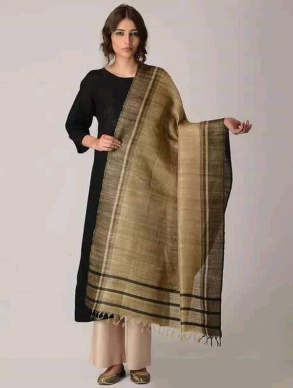 Handwoven Tussar Ghicha Silk Dupatta